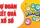 Dự đoán xổ số Đồng Nai 13/11/2024 – Soi cầu DN chuẩn xác