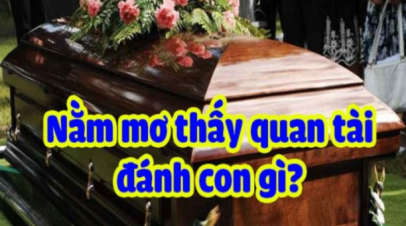 Nằm Mơ Thấy Quan Tài Ý Nghĩa Và Những Tưởng Tượng Sâu Sắc