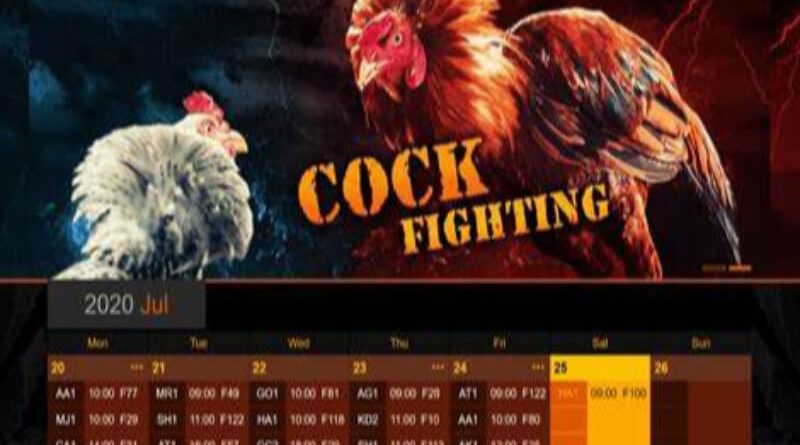 Đá Gà Xổ Số 66 – Tựa Game Đáng Chơi Nhất Tại Xoso66 Art 