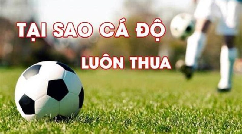 Săn hàng loạt các ưu đãi hấp dẫn trang cá độ bóng đá tại trangcadobongda.lol