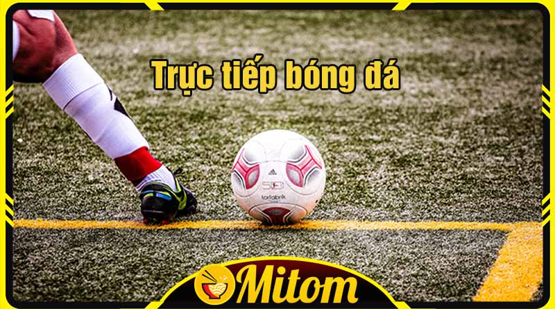 Mitom.baby – Địa chỉ xem bóng đá hàng đầu tại Việt Nam