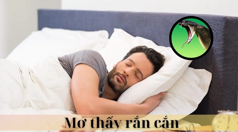 Mơ thấy rắn cắn đánh con gì? Mang điềm báo tốt hay xấu